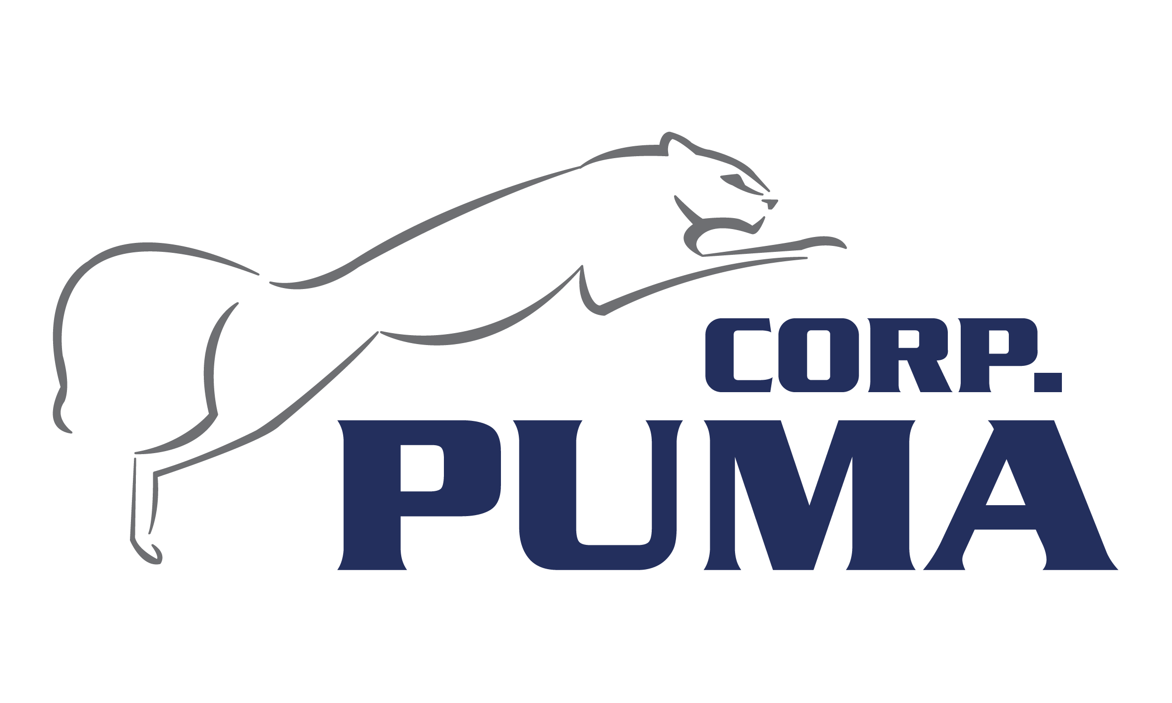 Grupo Puma